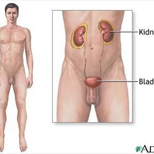 Urinary Tract Infection Cure - Treatment Of UTI - Natural Vs Traditional